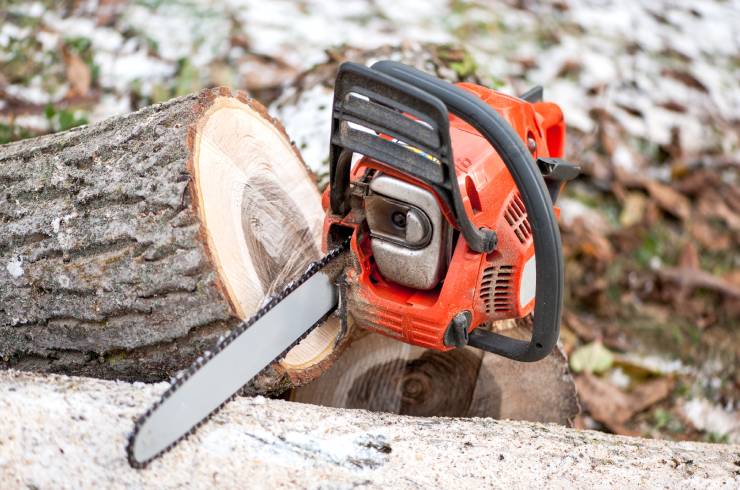 Jose Tree & Lawns Service