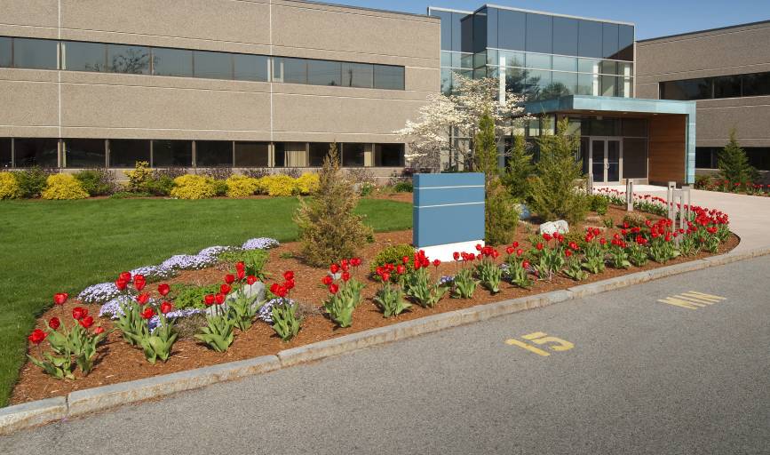 COMMERCIAL LANDSCAPING SERVICES